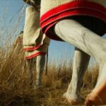 Picture Of Abakhwetha Walking In The Jungle. Picture Supplied