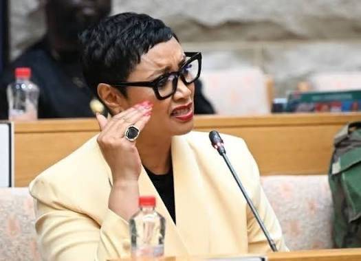 ActionSA MP Dereleen James media statement responding to allegations raised during the Madlanga Commission proceedings.