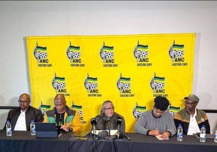 ANC Eastern Cape Provincial Task Team members during a party briefing in the Eastern Cape.