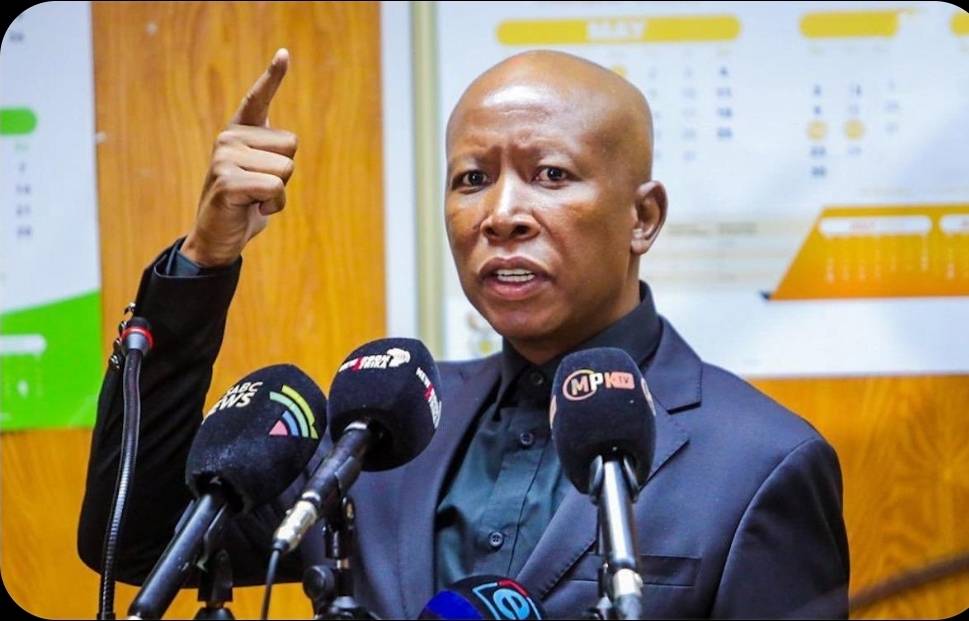 Julius Malema faces reported crimen injuria prosecution over statements involving Eastern Cape school principal Jaco Pieterse.