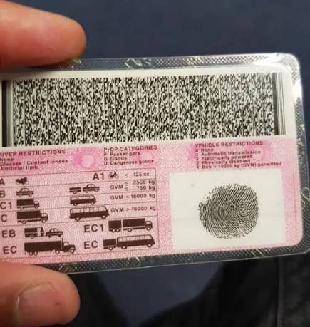 South African driver's licence card used to illustrate a proposed extension of licence validity from five years to eight years.