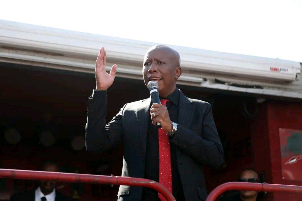 Julius Malema, president of the Economic Freedom Fighters