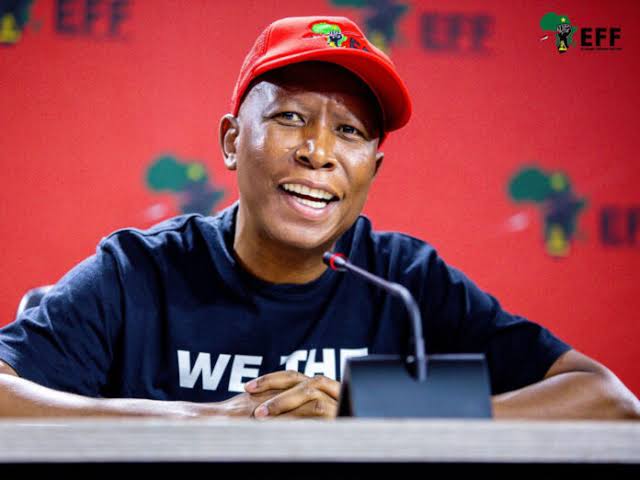 Julius Malema during proceedings in his firearm case