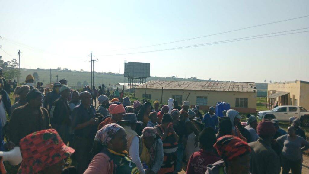Umhlali waseZone 14 owonzakeleyo emva koqhanqalazo eDutywa