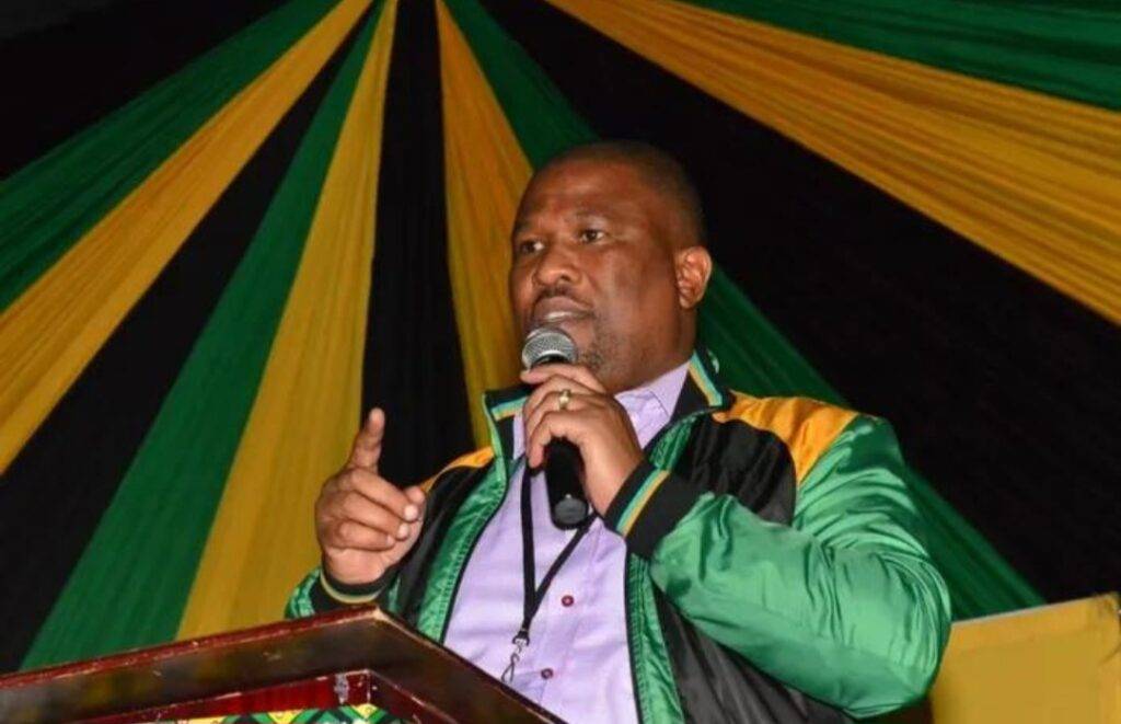 Oscar Mabuyane, ANC Eastern Cape chairperson, speaks about concerns over the party's candidate registration process ahead of the 2026 local government elections.