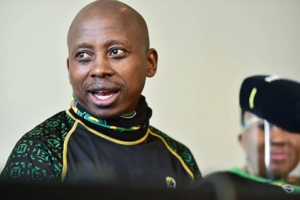 Andile Lungisa, ANC National Executive Committee member