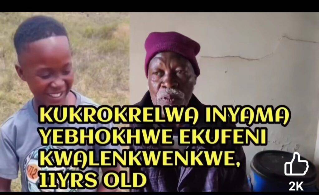 11-year-old dies after suspected food poisoning in Ngqushwa