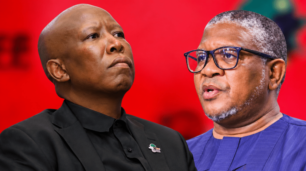 Fikile Mbalula, ANC Secretary-General